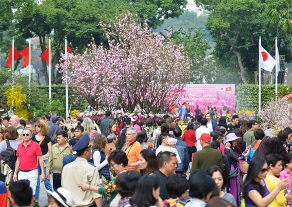 japanese cherry blossom festival in hanoi extends to march 27