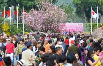 Japanese cherry blossom festival in Ha Noi extends to March 27