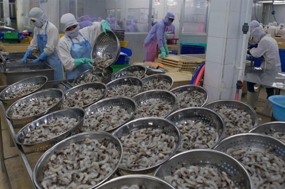 vietnam aims to earn 42 billion usd from shrimp exports