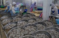 vietnams tea exports edge up 154 percent in q1