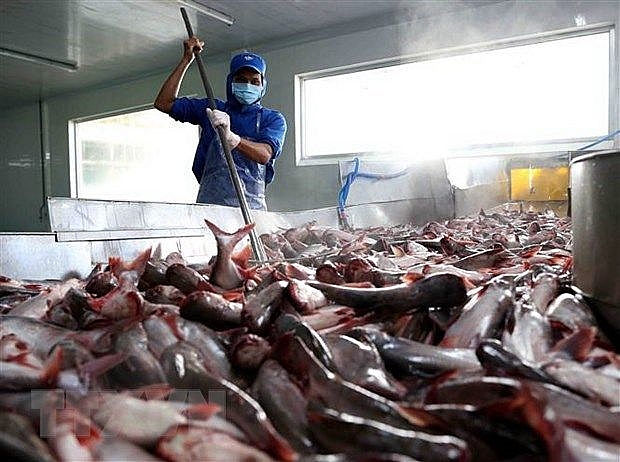 us becomes top importer of vietnamese tra fish in february