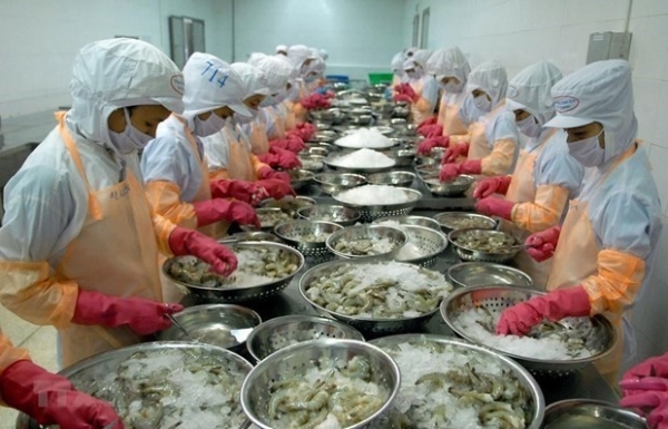 Shrimp exports may exceed 4 billion USD this year