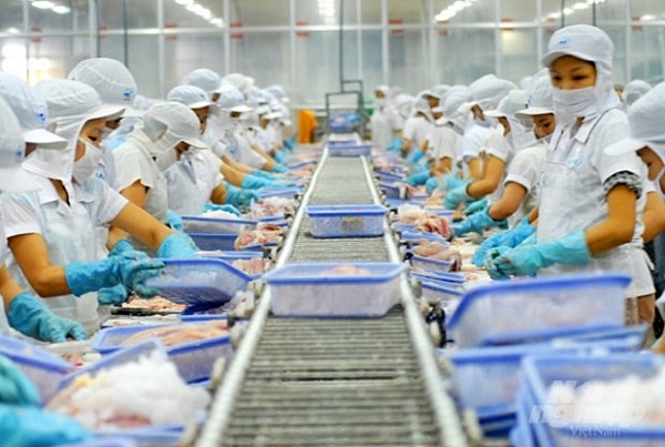 There's still room for Vietnam’s aquatic product exports in China market