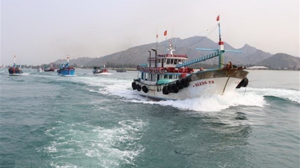 Tien Giang striving to develop sustainable offshore fishing: official