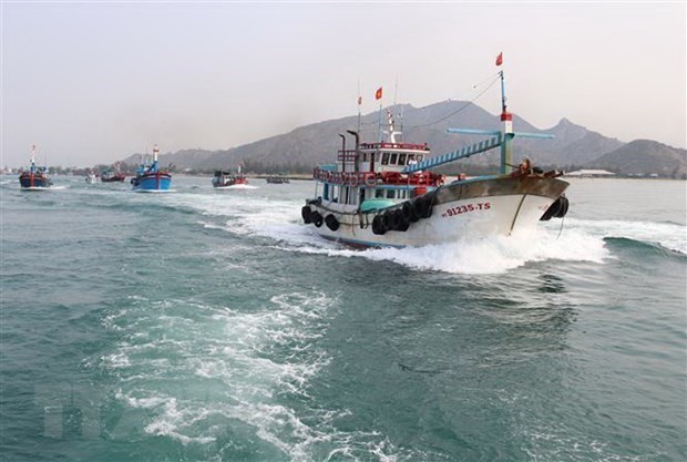 Tien Giang striving to develop sustainable offshore fishing: official Tien Giang striving to develop sustainable offshore fishing: official