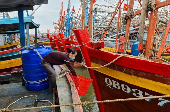 Quang Binh fishermen raise awareness of marine protection