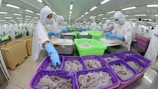 WB: Viet Nam's economy continues to show resilience