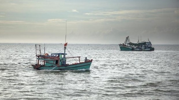Viet Nam boosts satellite-based vessel monitoring to eradicate IUU fishing