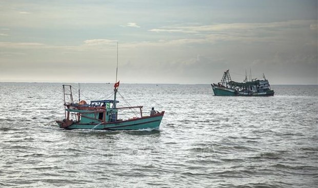 Fishing boats of Vietnam (Illustrative photo: VNA)