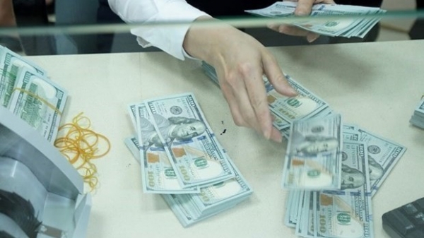 Reference exchange rate up 12 VND at week’s beginning