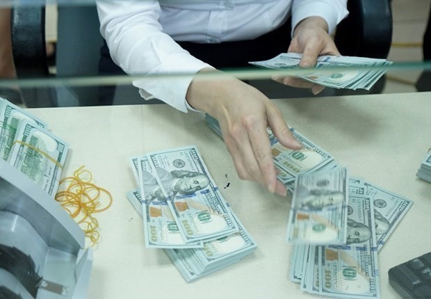 Reference exchange rate up 4 VND at week’s beginning Reference exchange rate up 12 VND at week’s beginning