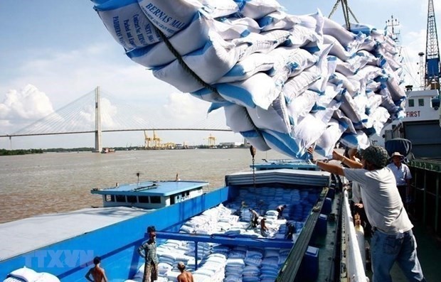 Vietnam wants to be Sierra Leone's long-term rice supplier: minister