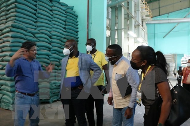 Gabonese trade minister explores rice production in Long An
