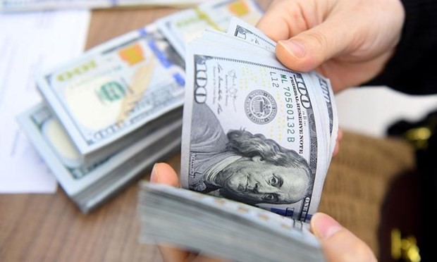Vietnam's forex reserves projected to keep rising
