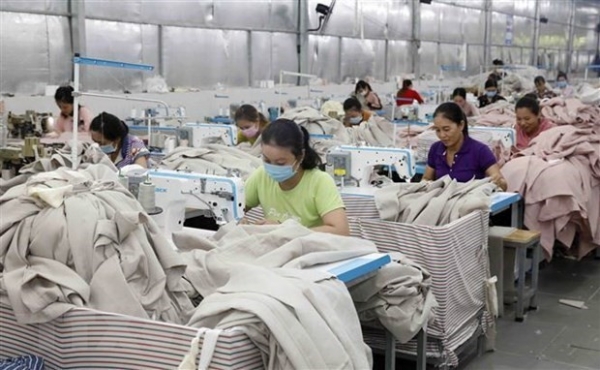 Viet Nam gains significant outcomes in developing market economy: Study