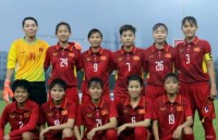 vietnam to train in korea for aff cup