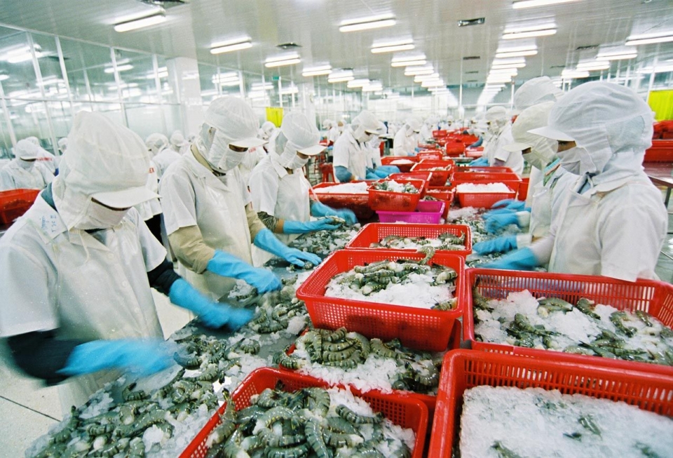 vietnam promotes seafood exports to europe