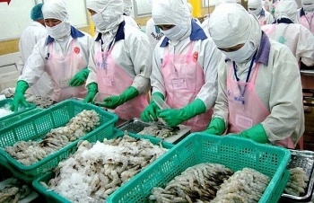 EU remains top market of Vietnamese shrimp