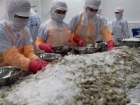 Vietnam sees high shrimp export growth to US and Japan in Q1 despite COVID-19 pandemic