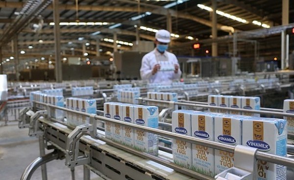 Large room for dairy farming industry to grow further in Vietnam