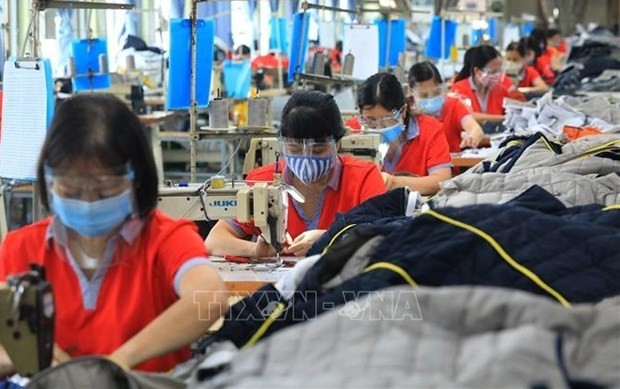 Domestic labour market bouncing back: GSO Domestic labour market bouncing back: GSO