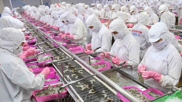 Shrimp exports predicted to sustain growth in April