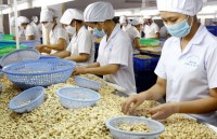 vietnamese businesses reap fruits in foreign markets