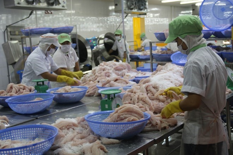 exports of tra fish earns 438 million usd in three months