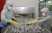 vietnam eu boast high potential to bolster partnership