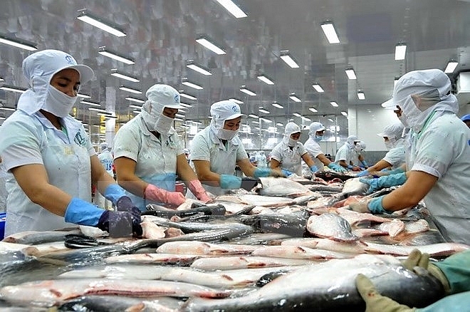 tra fish industry looks to keep growth momentum