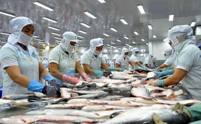 vietnams tra fish exports to asean up 18 percent