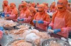 vietnams economy offers many chances for canadian firms workshop