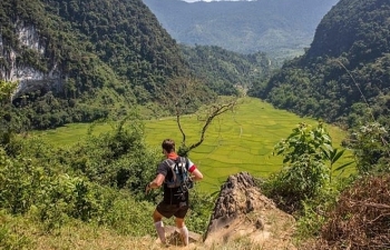 Nearly 1,000 people to run in Vietnam Jungle Marathon 2019