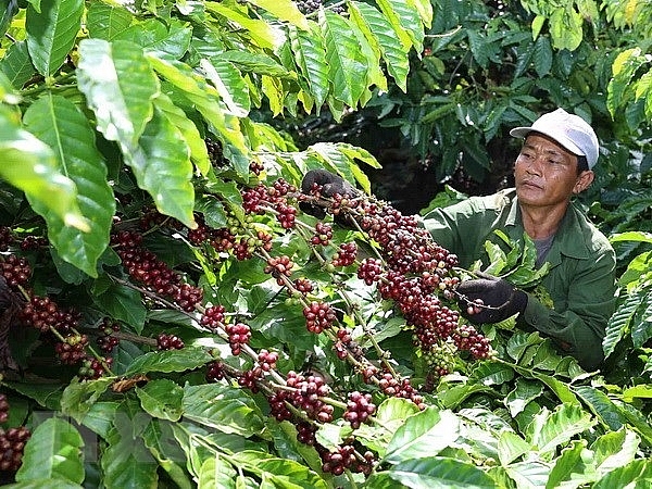 bayer helps vietnam develop high tech agriculture