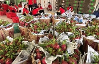 veggie fruit exports rise 39 percent in h1