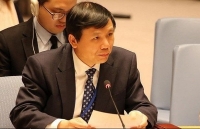 vietnam backs building of stable cyberspace ambassador dang dinh quy