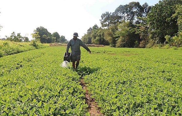 ha nois agriculture sector looks to grow post covid 19 pandemic