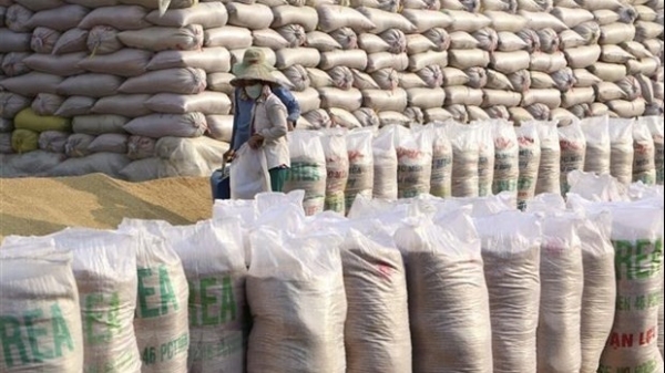 Viet Nam would continue to be world’s second largest rice exporter: US department
