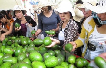 Southern fruit festival opens