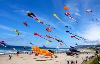 Kites fly high as Quang Nam hosts Heritage Festival