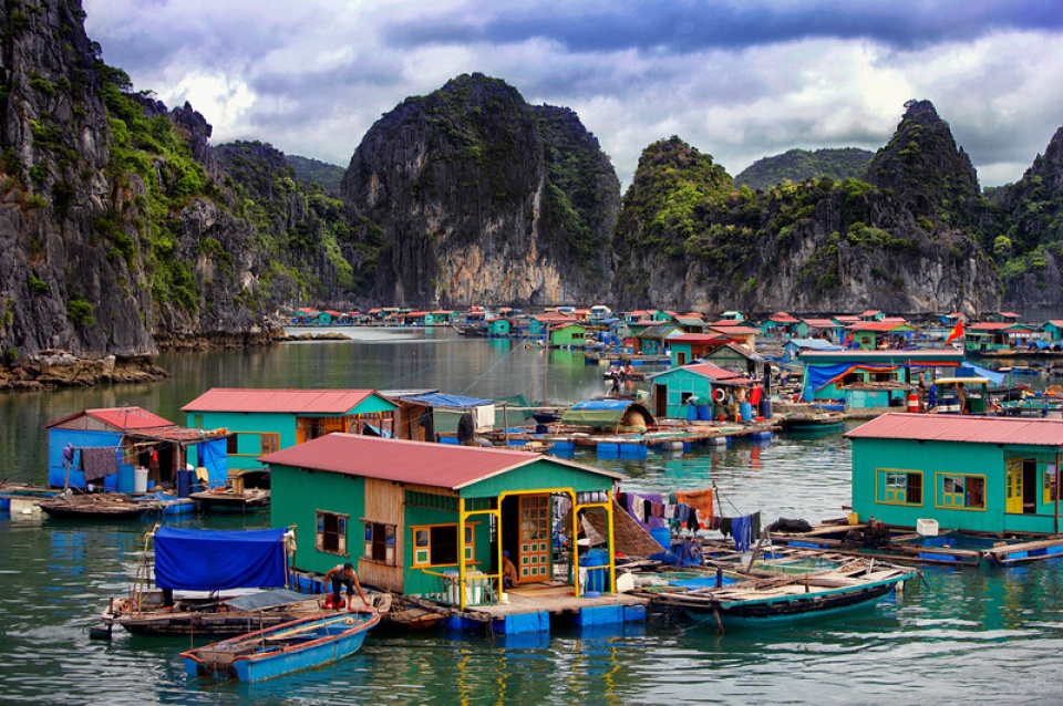 eco friendly aquaculture model on ha long bay proves fruitful