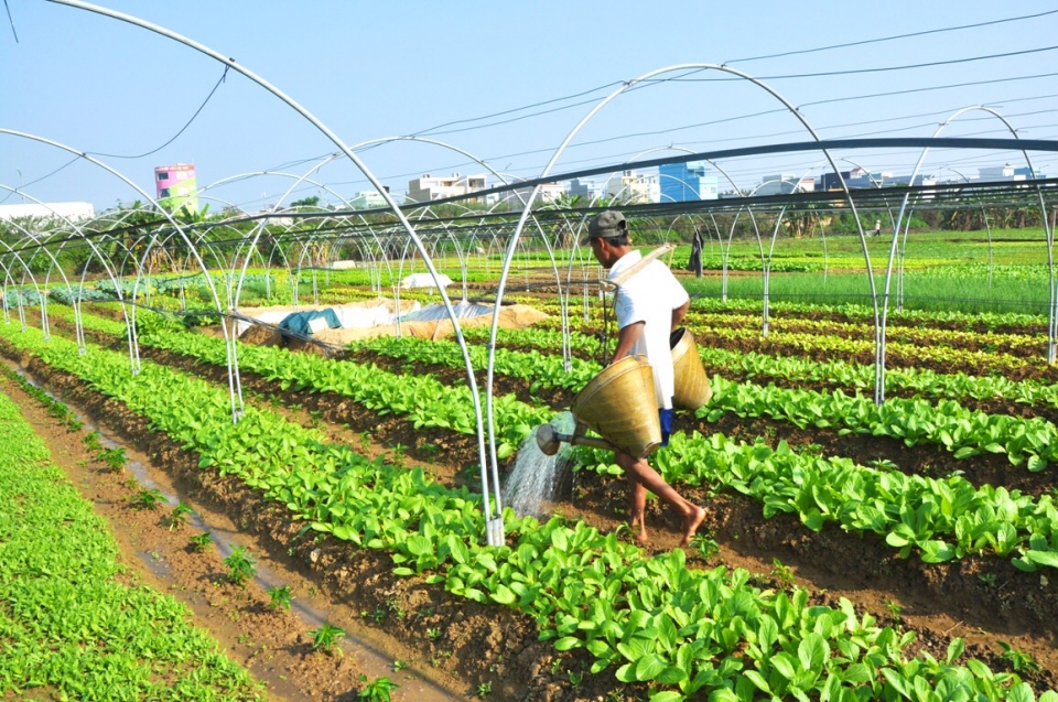 vietnam sees potential for organic fertilizer business