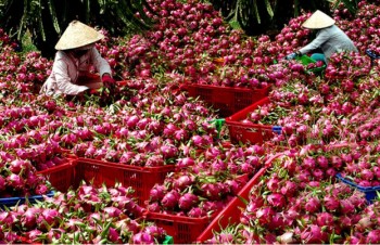 Ministry optimistic about fruit-veggie export prospects