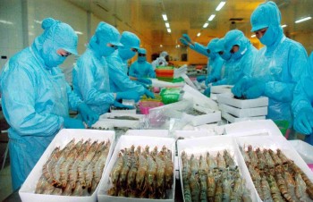 Seafood processing firms lack materials