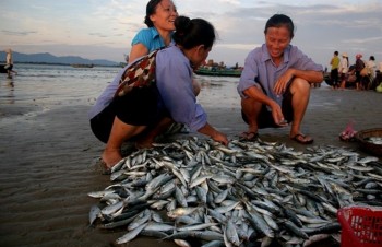 EC to review yellow card against Vietnamese fisheries in early 2019