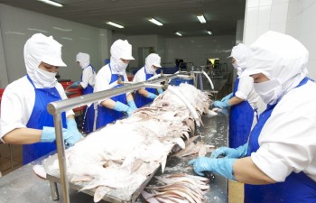 US to early recognise Vietnam’s rules on catfish management
