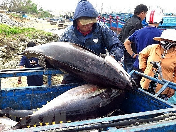 eu to remove tariffs on vietnamese tuna once trade deal takes effect