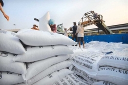Rice export price reached lowest point in two months