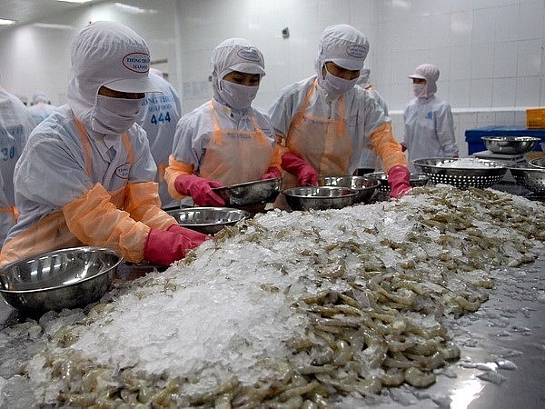 Shrimp exports to Canada rise steadily