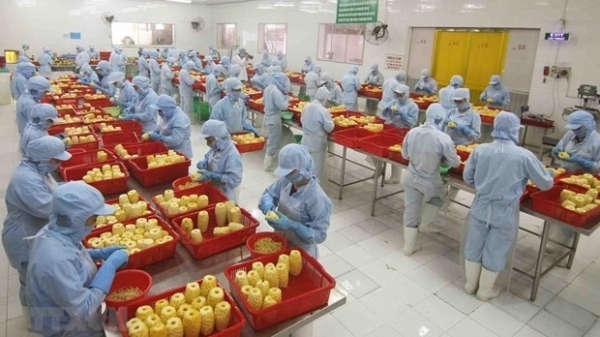 Manufacturing and processing sector playing key role in FDI attraction